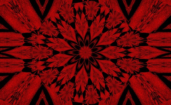 Red Night Flower Digital Download